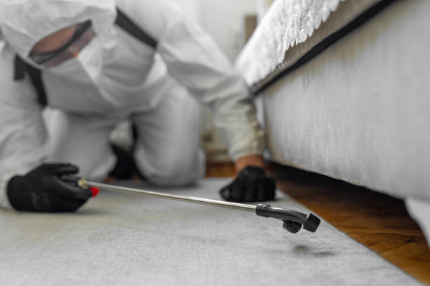 Professional Cockroach Control technician working in New Richmond, WI