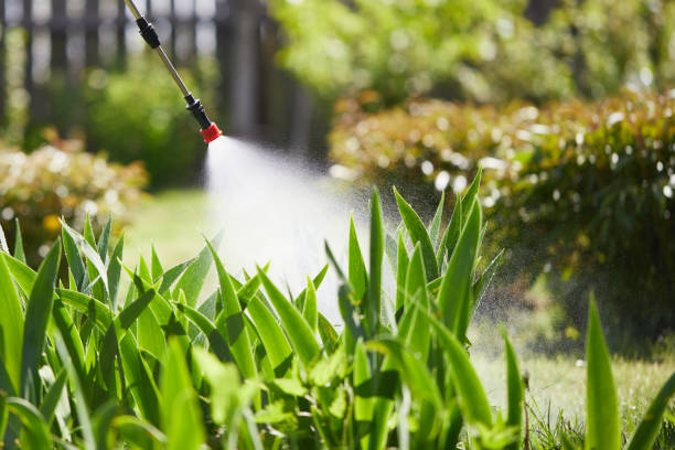 24/7 Emergency Cockroach Control experts in New Richmond, WI